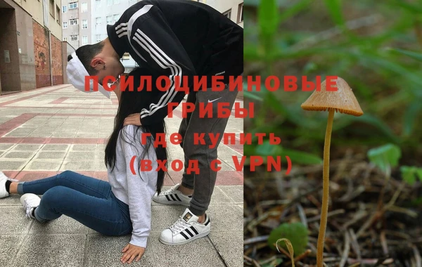 соль ск Алексин