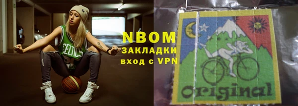 индика Алзамай