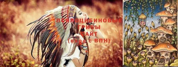 прущий лед Абаза