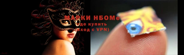 индика Алзамай