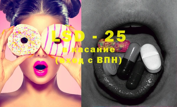 индика Алзамай