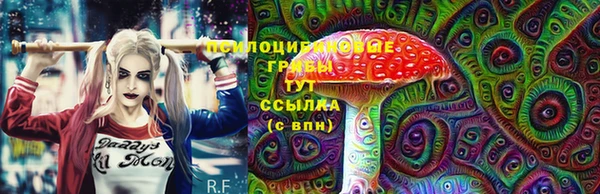 индика Абинск
