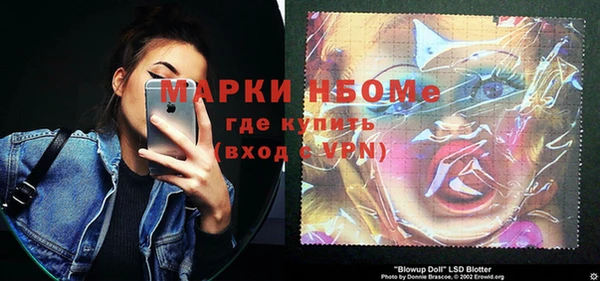 индика Абинск