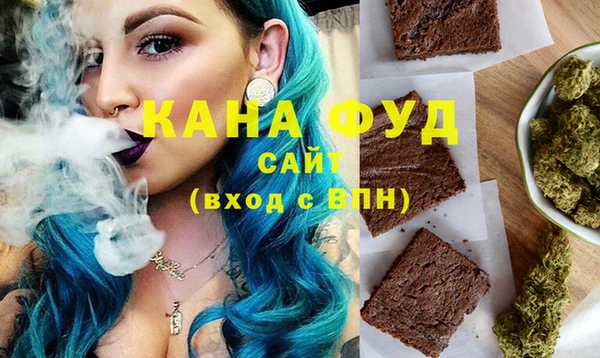 индика Абинск