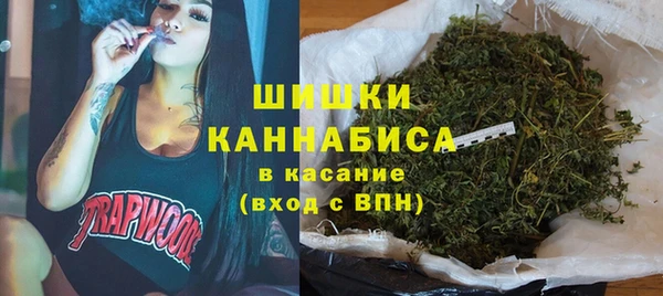 индика Алзамай