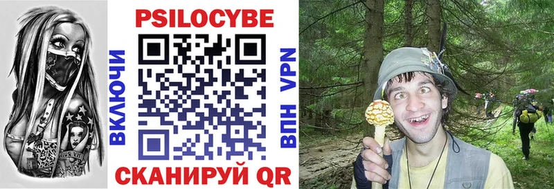 даркнет сайт  ОМГ ОМГ зеркало  Псилоцибиновые грибы прущие грибы  Саянск 